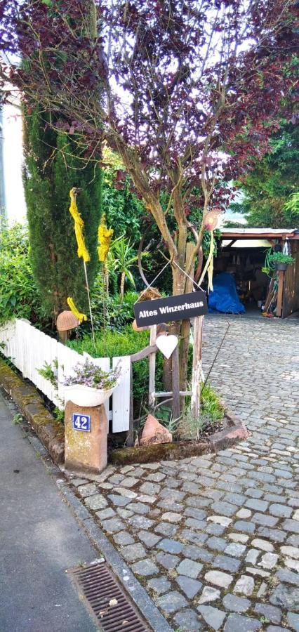 Apartment Altes Winzerhaus Osann-Monzel 외부 사진